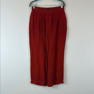 Stateside 100% Cupro Rust Orange Wide Leg Pants Size Medium